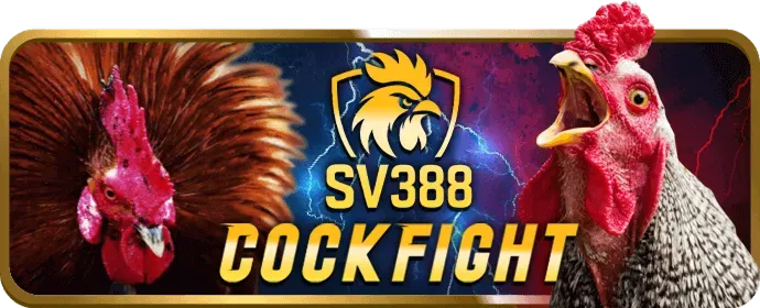 Cá cược thể thao mew88